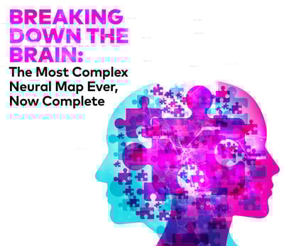 Breaking Down The Brain