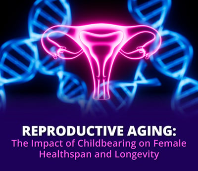 Reproductive Aging: The Impact of Childbearing on Female Healthspan and Longevity
