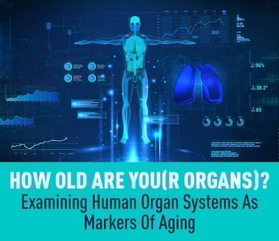How Old Are You(r Organs)? – Examining Human Organ Systems As Markers Of Aging