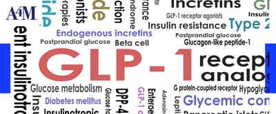 The Public’s Use and Views of GLP-1 Drugs