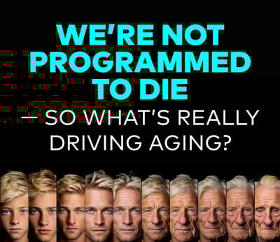 We’re Not Programmed To Die — So What’s Really Driving Aging?