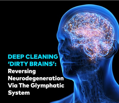 Deep Cleaning ‘Dirty Brains’: Reversing Neurodegeneration Via The Glymphatic System