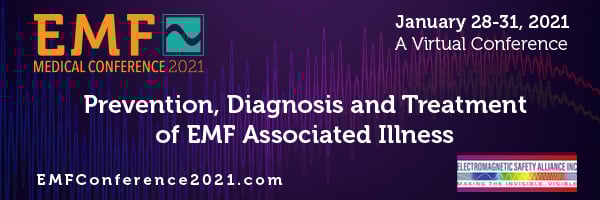 EMF 2021 Banner 600x200